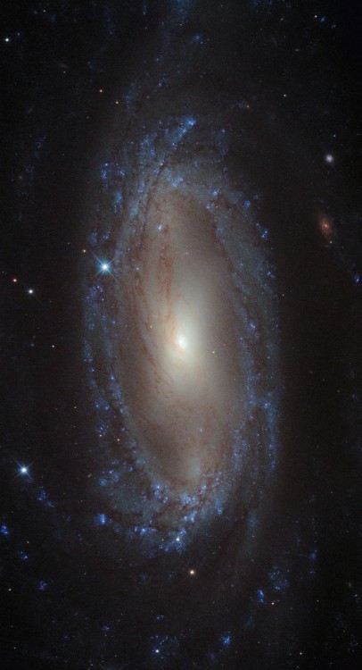 kenobi-wan-obi: Spiral in the Air Pump Lying over 110 million light-years away from Earth in the con