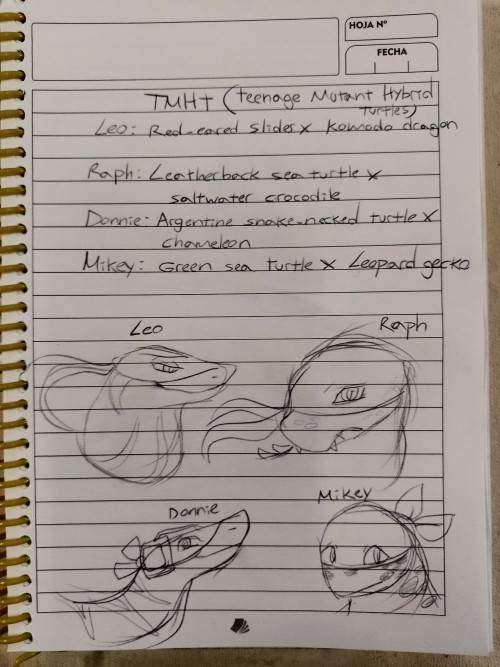 Hello TMNT Fandom! I Was Introduced To This Franchise By A Friend, And Watched Both The Rise Movie And
