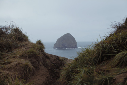 kylejthompson:My family visited me and we went to the coast