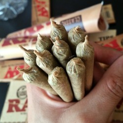 weedporndaily:  Just some cones.. 💛 #RawLife247 by __charmz__ http://ift.tt/Tw1e7E