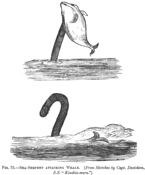 labete-du-gevaudan:These sketches were done by Captain Davidson who ran the steamship Kiushiu-maru. 