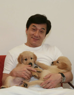 rowantheexplorer:This is the Jackie Chan
