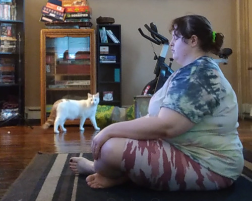 Yoga, even if your judgy cat keeps interrupting you!Visit my Youtube channel for more cats and weigh