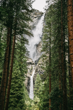 hikewhileyoucan:  hikewhileyoucan:  patrickheindelphotography: