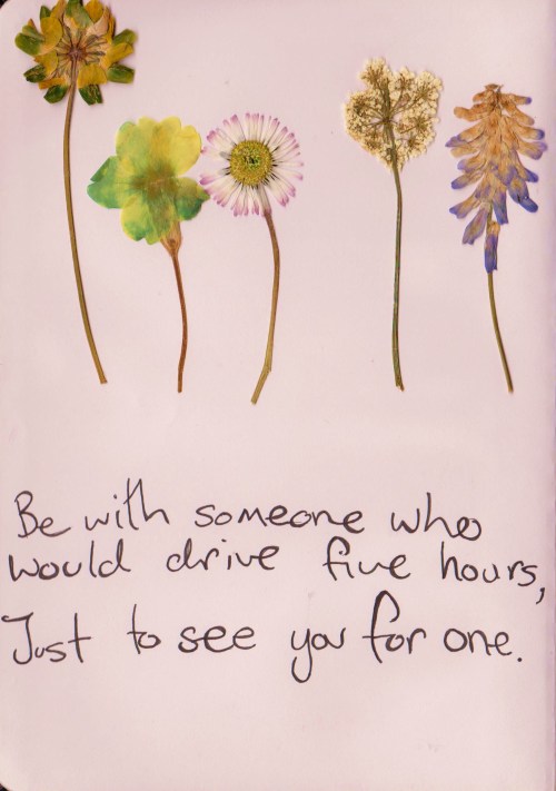 whatever-you-write:Be with someone who would drive five hours, just to see you for one (x)