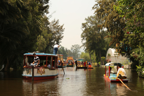 Xochimilco, Mexico.