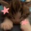cutiejxyden