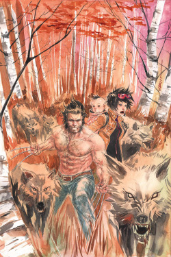 extraordinarycomics:  Wolverine by Dustin
