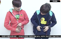pitdae:  The intense (?) competing between members of different teams that took