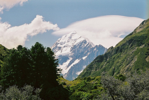 natureac: This blog will make you feel at peace