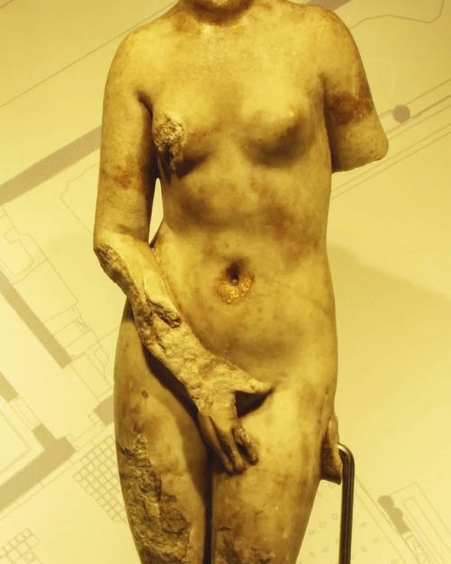 giuseppeciaramella:#venus #art #sculpture #marble #archeology #fashion #eros #woman #female #goddess