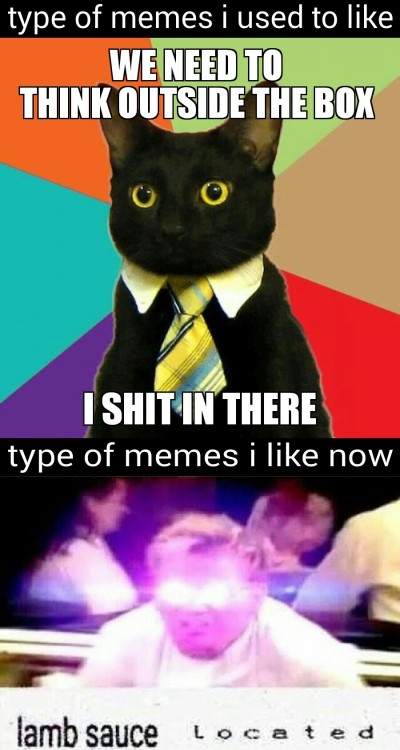 Gay Clown Cat