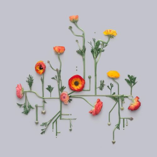 nae-design:Flower art by Kristen Meyer