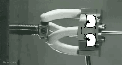 daddydutiesandstuff:  gifsboom:  (via -Abnormal-)   The cats!! XD