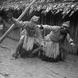  Amazonia - &copy; Richard Evans Schultes 