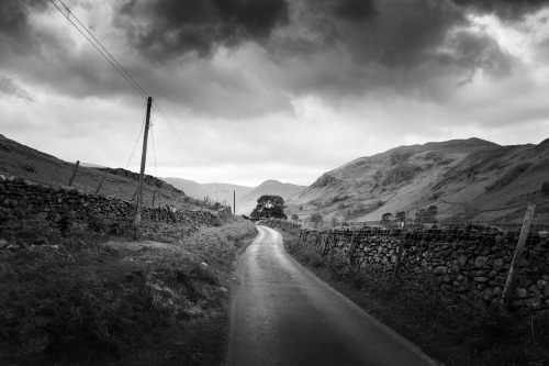 Sheep Farm, CumbriaPhotographed by Freddie Ardley - Instagram @freddieardley