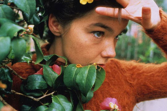 20aliens: Björk by Stefan Malzkorn 1994.