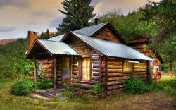 dakotaswain: Rustic Cabin Sanctuary 