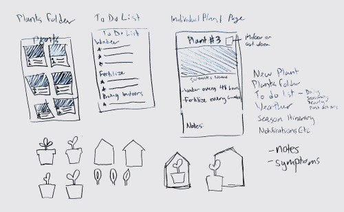  Layout for a plant care mobile application. Illustrator. 