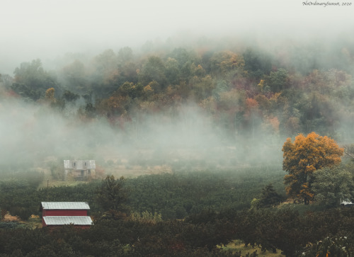 Fall in Shenandoah.Crozet, Virginia