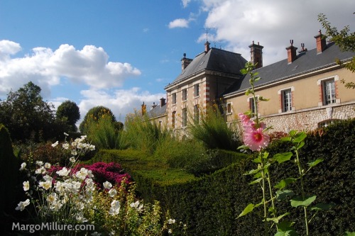 Blooms in  Blois, France, in the Loire Valley