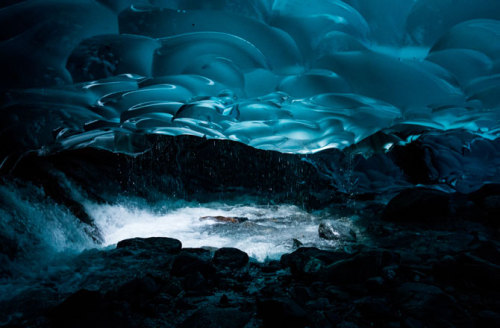 kqedscience:  Inside an Alaskan Ice Cave: Photos  “The Mendenhall Glacier near Juneau, Alaska, is a 12-mile long sheet of ice where visitors can walk across the top of the glacier. The more adventurous can hike four miles to the ice’s edge, where