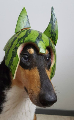 tastefullyoffensive:  Melon collie. (via naxuuu)  That&rsquo;s Thorable.