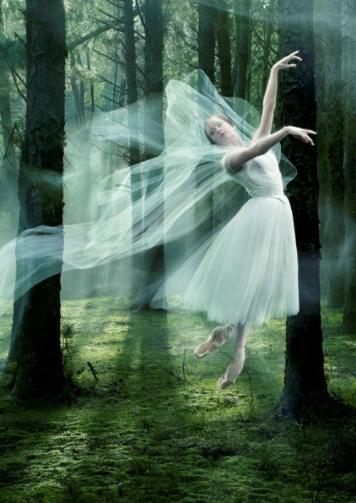 Gillian Murphy in title role in Giselle. Royal New Zealand Ballet. Photograph by Ross Brown. Murphy,