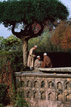 ghamzadi: Kashmir, 1998 [Photo: Steve McCurry, Magnum Photos] 