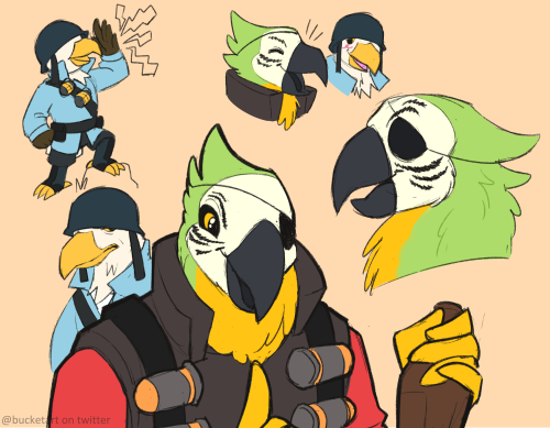 I became possessed and drew all of these in like uuhh 3 days cause i just needed to draw some bird m