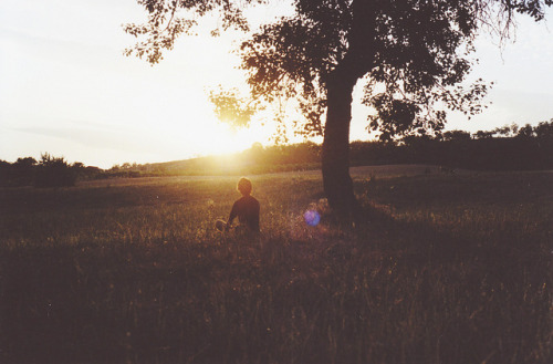 grett:  just like heaven by silvia sani on Flickr. 