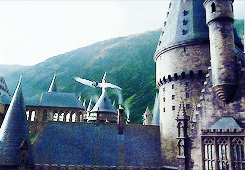 red-russian-spy:movie trivia↳ Harry Potter and the prisoner of Azkaban Alfonso Cuarón had the idea to better establish the layout of Hogwarts to make it seem more like a real place and not simply a group of sets. “We started linking spaces,” Cuaron