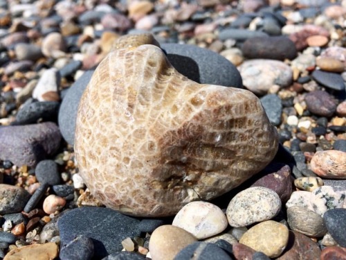 #petoskeystone #petosky #michigan #picturerocksnationallakeshore #12milebeach #beach #lakesuperior #