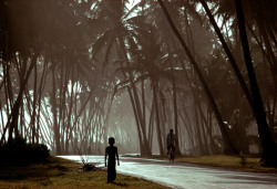 Unrar:    Sri Lanka, Colombo, 1979, Coconut Grove, Bruno Barbey. 