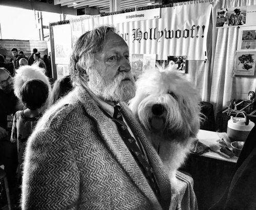 Westminster Dog Show, 2017(at New York, New York)https://www.instagram.com/p/CLNsMXgFZV2/?igshid=1kd