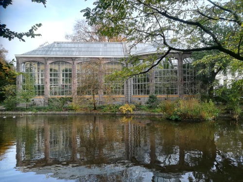 Hortus Botanicus Amsterdam, autumn of 2019