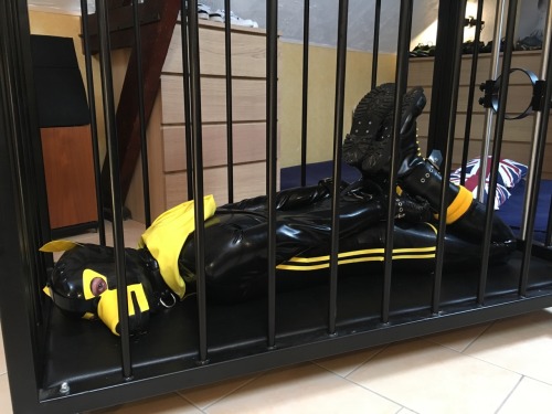 sonypup:  Cage afternoon for Sonypup !!! porn pictures