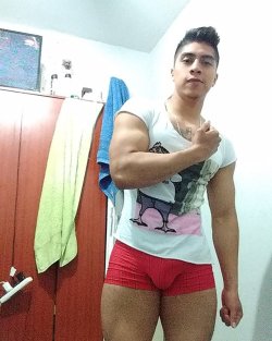 chicosguaposlindos:  HamiltonM95 - Chacal