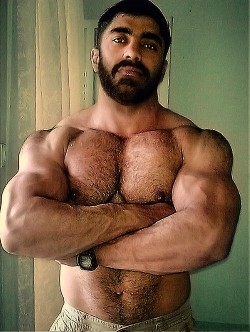 planesdrifter:  OMG, He is one handsome hairy,