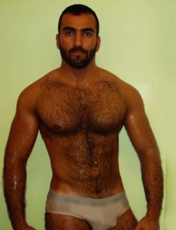 Arab Adonis