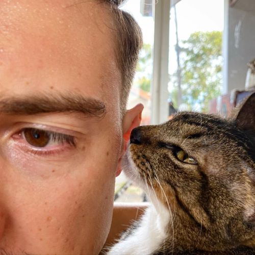 : I need to tell you something… : I love you  . . . #catdad #catloversworld #catkiss #kiss #c