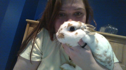 heldinhishands:  a very important photoset of my bunny