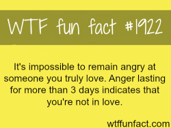 wtf-fun-factss:  Being angry on loved one - WTF fun facts