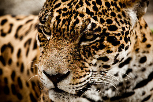 Image - TinyPic - Free Image Hosting, Photo Sharing & Video Hosting   @weheartit.com http://whrt.it/U9aS9v