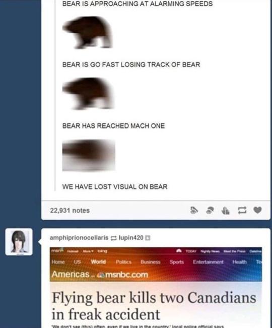 the-caffeinated-pigeon: australian-frog-cakes:  the-entire-furry-fandom:  ww-swagabond:  meta18:  osoru:   slowly approaching bear  the bears will be in eventually   Bear will arrive sooner than thought.   BEAR IS APPROACHING AT ALARMING SPEEDS  BEAR