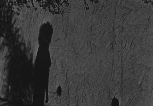 tiredtangerine:Meshes of the Afternoon (1943), directed by Maya Deren and Alexander Hammid