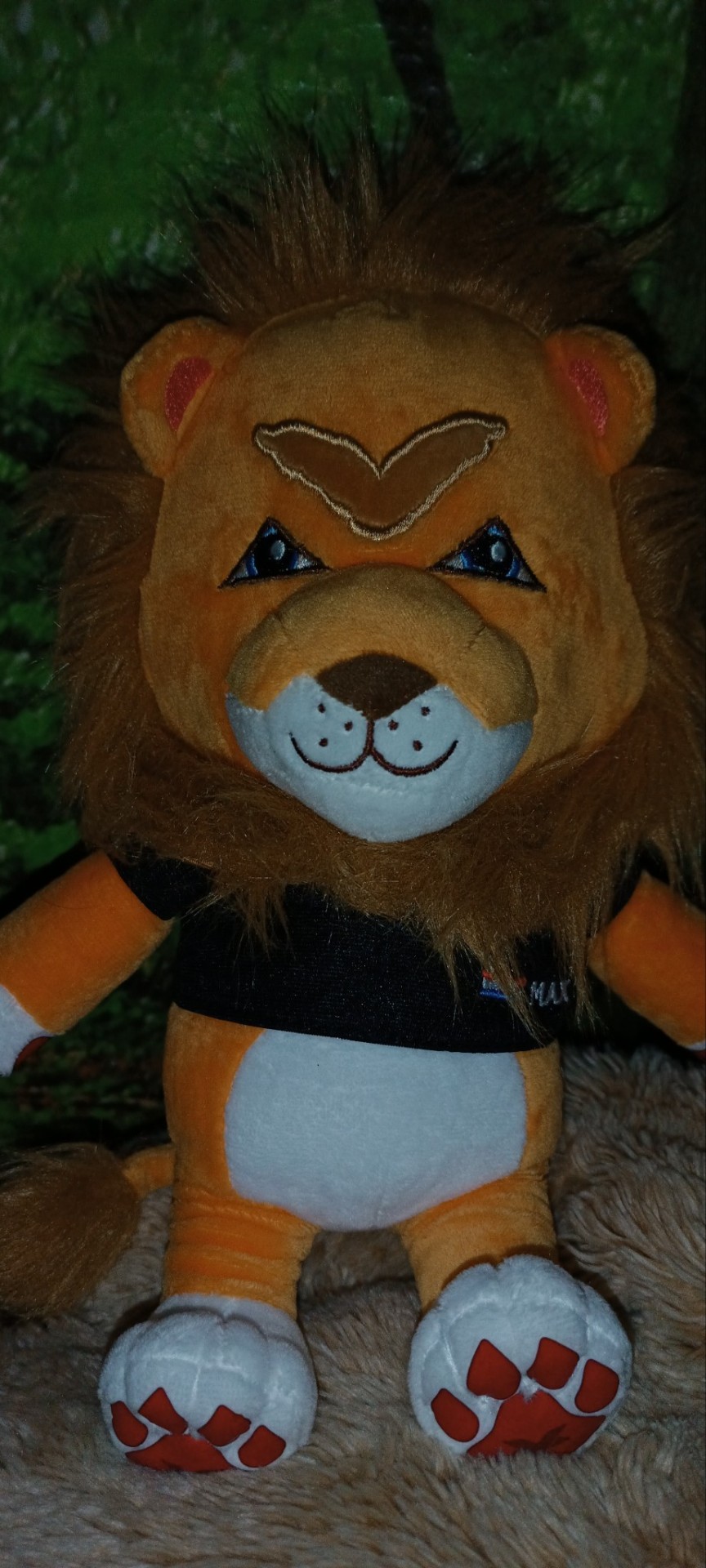 My Knuffel Leeuw Jimmy Will Get His Finborough Bear Bob Soon