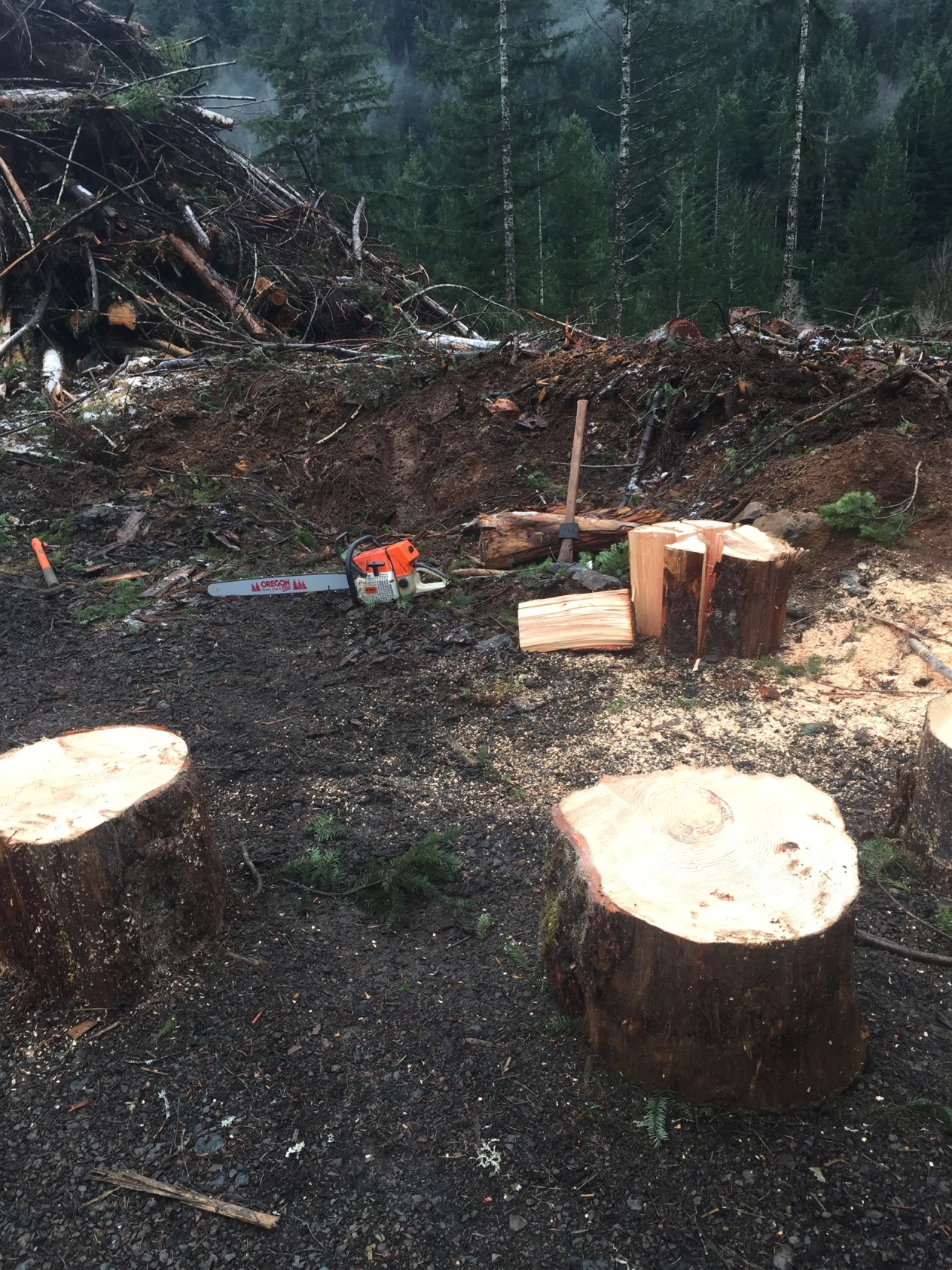 Little firewood adventure , loving my pnw life. Who doesn&rsquo;t love a man