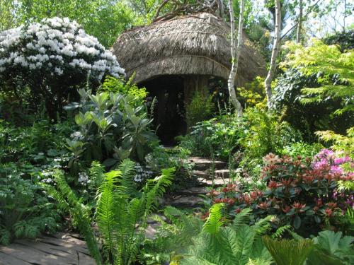 eleffants: tropic-ae:  ☼Tropical☼  Jungle Tropical
