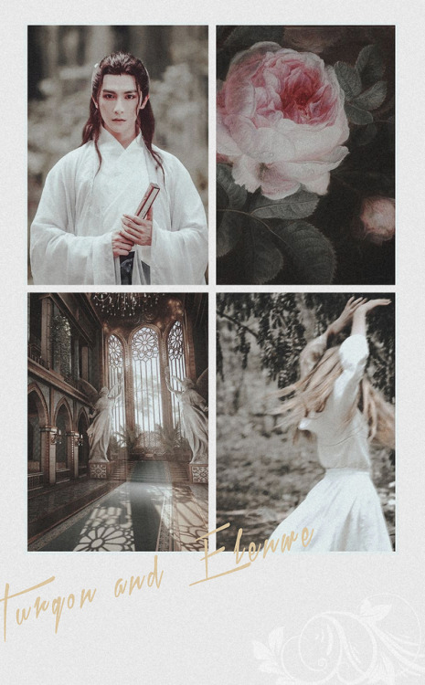  The Silmarillion aesthetics | Valinor | Turgon and Elenwë for @nolofinwean-week  | Day 3 – Turgon &